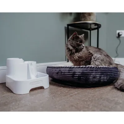 Fontanella bianca per animali con scritta 'Closer Pets' accanto a un gatto grigio sdraiato su una cuccia imbottita a righe scure, in ambiente domestico.