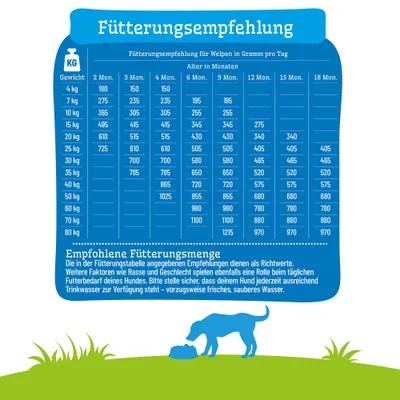 Fütterungsempfehlung für Welpen in Gramm pro Tag nach Gewicht und Alter. Tabelle mit Richtwerten, Hinweis auf frisches Trinkwasser und Einfluss von Rasse und Geschlecht.