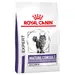 Royal Canin Expert Feline Mature Consult Balance