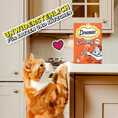 Dreamies Creamy mit leckerem Huhn, unwiderstehlich für Katzen und Kätzchen. Verpackung zeigt 4x10g Portionsbeutel. Ohne Zuckerzusatz.