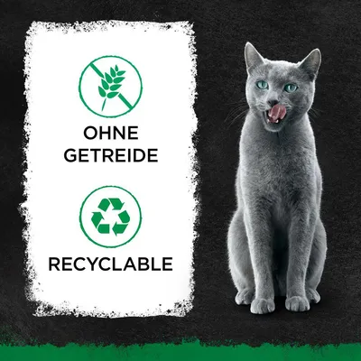 Текст на немецком: OHNE GETREIDE, RECYCLABLE. Значки без злаков и переработка. Рядом серая кошка.