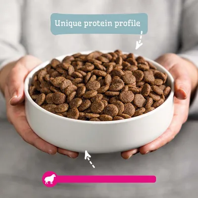 Protein Mix Dry Food Protein Mix Dry Food