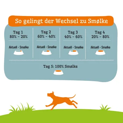 Fütterungsanleitung für Smølke: Tag 1 bis 4 schrittweise Mischung von aktuellem Futter und Smølke, Tag 5 nur Smølke. Prozentangaben pro Tag sichtbar. Fütterungsanleitung für Smølke: Tag 1 bis 4 schrittweise Mischung von aktuellem Futter und Smølke, Tag 5 nur Smølke. Prozentangaben pro Tag sichtbar.