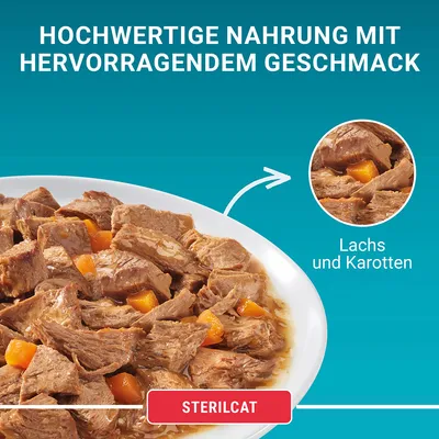 Sterilcat. Hochwertige Nahrung mit hervorragendem Geschmack, Lachs und Karotten sichtbar auf einem Teller.