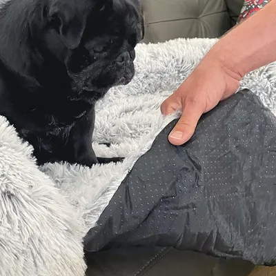 Hand zeigt die rutschfeste Unterseite eines grauen, flauschigen Haustierbetts.