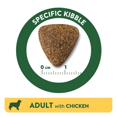 Croquette triangulaire, texte visible : Specific Kibble, échelle de 0 à 1 cm. Bandeau jaune avec silhouette de chien et texte : Adult with Chicken.