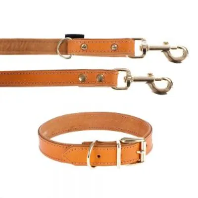 Set aus brauner Lederleine mit Metallkarabinern und passendem Halsband mit Metallschnalle, beide mit sichtbaren Nähten und Metallbeschlägen.