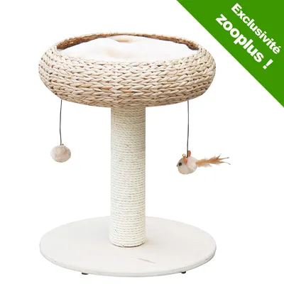 Arbre à chat en corde et osier avec coussin blanc, deux jouets suspendus. Bandeau vert : Exclusivité zooplus !