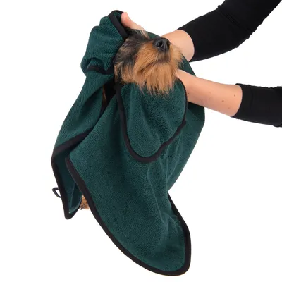 Hund wird mit einem grünen Handtuch abgetrocknet, das von einer Person gehalten wird. Zeigt die Verwendung eines Haustier-Handtuchs zur Fellpflege.