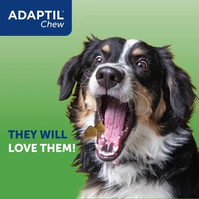 ADAPTIL Chew. Text reads: They will love them! Image shows a dog with an open mouth and chews visible, highlighting product appeal.