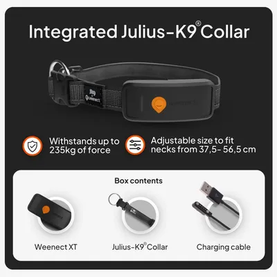 Weenect Pet XT GPS nyomkövető kutyáknak