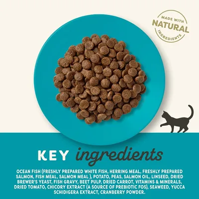 Pienso para gatos en plato azul. Texto visible: 'MADE WITH NATURAL INGREDIENTS', 'KEY ingredients'. Ingredientes principales: pescado oceánico, salmón, patata, guisantes, zanahoria, tomate, algas.