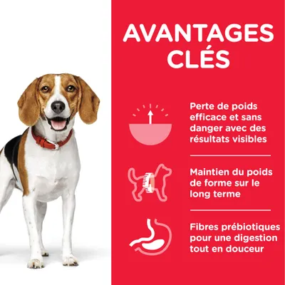 AVANTAGES CLÉS : Perte de poids efficace et sans danger, maintien du poids de forme sur le long terme, fibres prébiotiques pour une digestion tout en douceur.