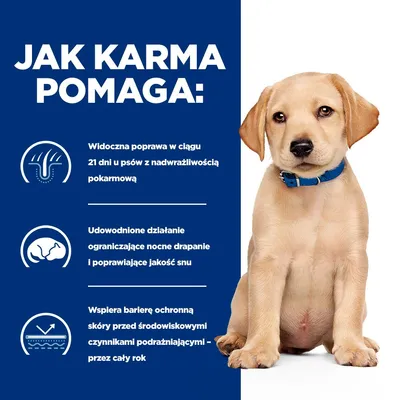 Jak karma pomaga: widoczna poprawa w 21 dni u psów z nadwrażliwością pokarmową, ogranicza nocne drapanie i poprawia sen, wspiera barierę ochronną skóry przez cały rok. Jak karma pomaga: widoczna poprawa w 21 dni u psów z nadwrażliwością pokarmową, ogranicza nocne drapanie i poprawia sen, wspiera barierę ochronną skóry przez cały rok.