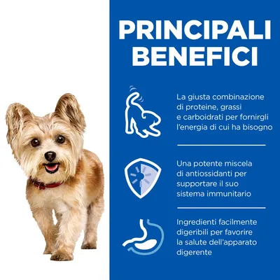 Principali benefici: combinazione di proteine, grassi e carboidrati per energia, antiossidanti per il sistema immunitario, ingredienti digeribili per la salute dell’apparato digerente.
