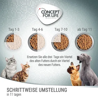 Concept for Life. Anleitung zur schrittweisen Futterumstellung in 11 Tagen: Tag 1-3, 4-6, 7-10 und ab Tag 11. Ersetzen Sie alle drei Tage ein Viertel des alten Futters durch neues Futter.