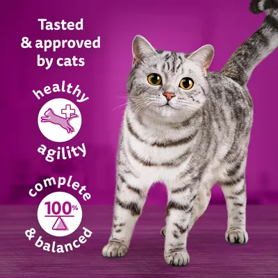 Tasted & approved by cats. Healthy agility. Complete & balanced. 100%. Text and icons on purple background beside a grey tabby cat.