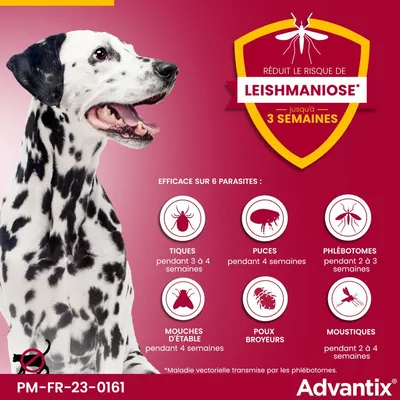 Advantix réduit le risque de leishmaniose jusqu’à 3 semaines. Efficace contre tiques, puces, phlébotomes, mouches d’étable, poux broyeurs, moustiques. Ne pas utiliser sur chats.