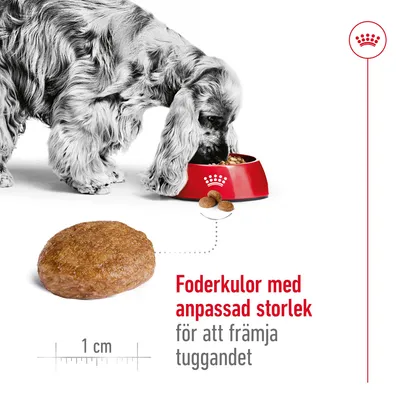 Hund äter ur röd matskål, närbild på foderkula med text: Foderkulor med anpassad storlek för att främja tuggandet. Skala visar 1 cm.