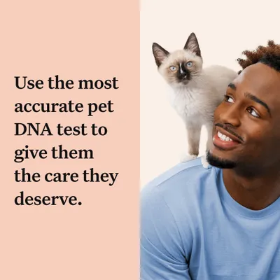 Text reads: Use the most accurate pet DNA test to give them the care they deserve. Image shows a cat next to a person.