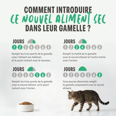 Guide pour l’introduction progressive d’une nouvelle nourriture sèche dans la gamelle sur sept jours, avec le rapport des quantités pour chaque période et un chat à côté d’une gamelle.