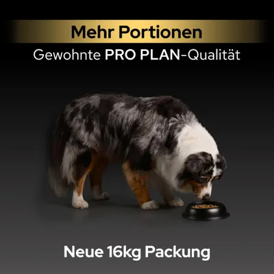 PURINA PRO PLAN All Sizes Adult Light Sterilised Fisch - 16 kg PURINA PRO PLAN All Sizes Adult Light Sterilised Fisch - 16 kg
