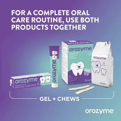 Orozyme Gel in Chews za popolno nego zob. Priporočilo: Uporabite oba izdelka skupaj. Prikazane so embalaže in žvečilni prigrizki. Orozyme Gel in Chews za popolno nego zob. Priporočilo: Uporabite oba izdelka skupaj. Prikazane so embalaže in žvečilni prigrizki.