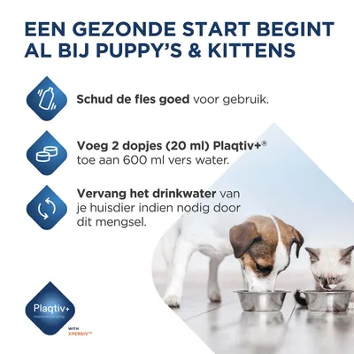 Instructies: Schud de fles voor gebruik, voeg 2 doseerdoppen (20 ml) Plaqtiv+ toe aan 600 ml vers water, vervang het drinkwater indien nodig door dit mengsel. Instructies: Schud de fles voor gebruik, voeg 2 doseerdoppen (20 ml) Plaqtiv+ toe aan 600 ml vers water, vervang het drinkwater indien nodig door dit mengsel.