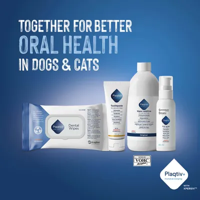 Plaqtiv+ Dental Wipes, Tandpasta, Wateradditief en Mondspray. Samen voor een betere mondgezondheid bij honden & katten. VOHC Goedgekeurd. Plaqtiv+ Dental Wipes, Tandpasta, Wateradditief en Mondspray. Samen voor een betere mondgezondheid bij honden & katten. VOHC Goedgekeurd.