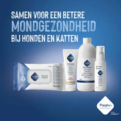 Plaqitv+ Tandverzorgingsproducten: Dental Wipes, Tandpasta, Wateradditief en Mondspray. Tekst: Samen voor een betere mondgezondheid bij honden en katten. Plaqitv+ Tandverzorgingsproducten: Dental Wipes, Tandpasta, Wateradditief en Mondspray. Tekst: Samen voor een betere mondgezondheid bij honden en katten.