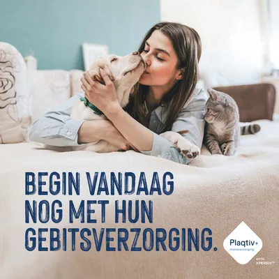 Begin vandaag nog met hun gebitsverzorging. Plaqtiv+ mondverzorging met XPERSIV. Begin vandaag nog met hun gebitsverzorging. Plaqtiv+ mondverzorging met XPERSIV.