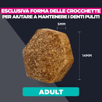 Crocchetta dalla forma esclusiva, misure: 5 mm x 14 mm. Testo: Aiuta a mantenere i denti puliti. Adatto per adult. Crocchetta dalla forma esclusiva, misure: 5 mm x 14 mm. Testo: Aiuta a mantenere i denti puliti. Adatto per adult.