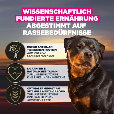 Wissenschaftlich fundierte Ernährung, abgestimmt auf Rassebedürfnisse: hoher Anteil an tierischem Protein, L-Carnitin & natürliches Taurin, optimaler Gehalt an Vitamin E & Beta-Carotin. Wissenschaftlich fundierte Ernährung, abgestimmt auf Rassebedürfnisse: hoher Anteil an tierischem Protein, L-Carnitin & natürliches Taurin, optimaler Gehalt an Vitamin E & Beta-Carotin.