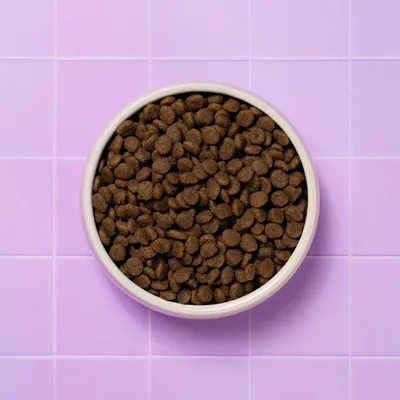 Bowl with brown dry food pellets, photographed from above. Bowl with brown dry food pellets, photographed from above.