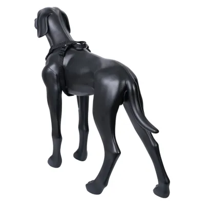 Svart hundsele på en hundattrapp, visar selen sittande och passformen på kroppen. Svart hundsele på en hundattrapp, visar selen sittande och passformen på kroppen.