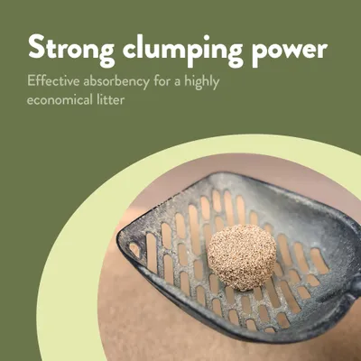 Strong clumping power. Effective absorbency for an especially economical litter, shown with a scoop and a firm clump of litter.
