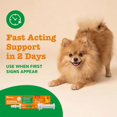 Zesty Paws Probiotic Rapid Care Paste, snabb hjälp inom 2 dagar, använd vid första tecken. Produktbild med spruta och förpackning. Zesty Paws Probiotic Rapid Care Paste, snabb hjälp inom 2 dagar, använd vid första tecken. Produktbild med spruta och förpackning.