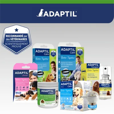 Gamme de produits ADAPTIL pour chiens : Calm, Junior, Chew, Transport. Textes visibles : « Apaise les chiens lors de situations stressantes », « Recommandé par des vétérinaires »