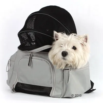 Sac de transport gris en tissu avec poches zippées et parties en maille, chien blanc assis à l’intérieur, tête dépassant par l’ouverture latérale.