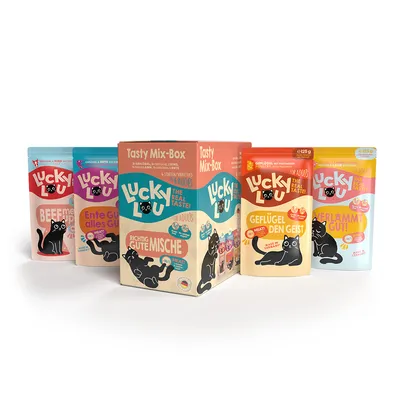 Boîtes et sachets Lucky Lou Tasty Mix-Box pour chats adultes, variétés visibles : Richtig Gute Mische, Beef Me Up!, Ente Gut alles Gut!, Geflügel Den Geist, Verlammt Gut! Textes en allemand.