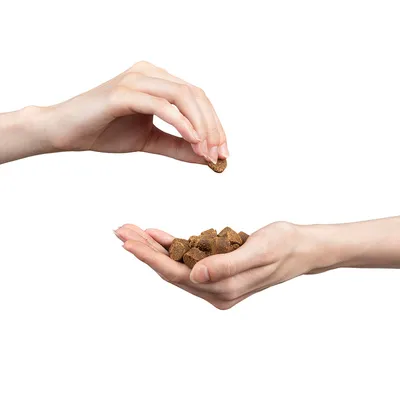 Kaksi kättä, joista toisessa ruskeita nappuloita ja toinen ottaa yhden nappulan. Näkyvissä ei tuotemerkkiä tai pakkausta.