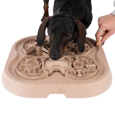 Hund använder beige aktivitetsbräda i plast med flera fack och labyrinter, en hand pekar på brädan. Ingen synlig varumärkestext.