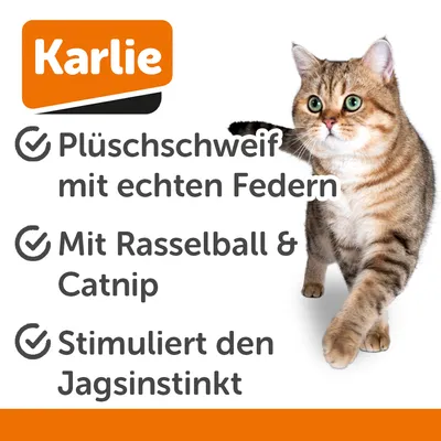 Jouet Karlie Kitty Wonderball pour chat