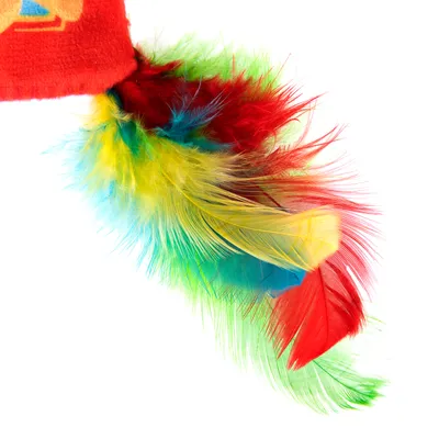Jouet pour chat avec plumes multicolores rouges, jaunes, vertes et bleues fixées à un tissu rouge. Les matériaux visibles sont tissu et plumes.