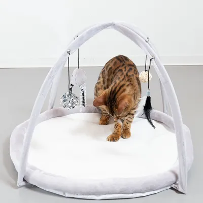 Chat tigré sur un tapis rond blanc avec arches en tissu gris, jouets suspendus (balle brillante, peluche grise, boule en corde, plume noire) visibles.
