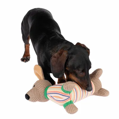 Hond speelt met gestreefd knuffeldier in de vorm van een hond, geschikt als speelgoed.