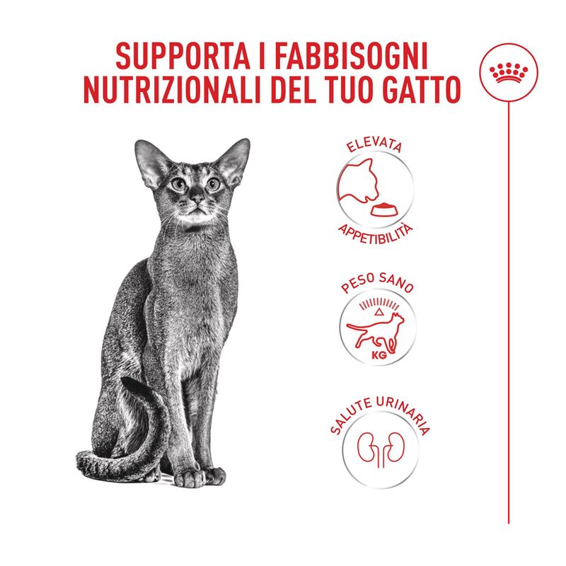Royal Canin Fussy Exigent