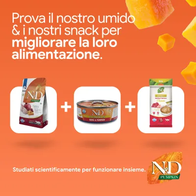 N&D Pumpkin crocchette, alimento umido e snack per gatti. Sviluppato scientificamente per un'alimentazione ottimale. N&D Pumpkin crocchette, alimento umido e snack per gatti. Sviluppato scientificamente per un'alimentazione ottimale.