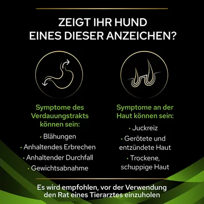 Zeigt Ihr Hund eines dieser Anzeichen? Symptome des Verdauungstrakts: Blähungen, Erbrechen, Durchfall, Gewichtsabnahme. Hautsymptome: Juckreiz, gerötete Haut, trockene Haut. Tierarzt konsultieren empfohlen.