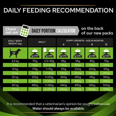 Daily feeding recommendation table for dogs by weight and age in months, with adult and puppy portions in grams per 24h. Includes note: Water should always be available.